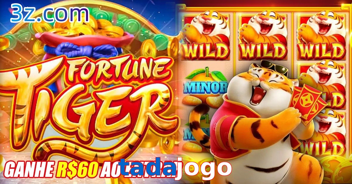 tadajogo auto